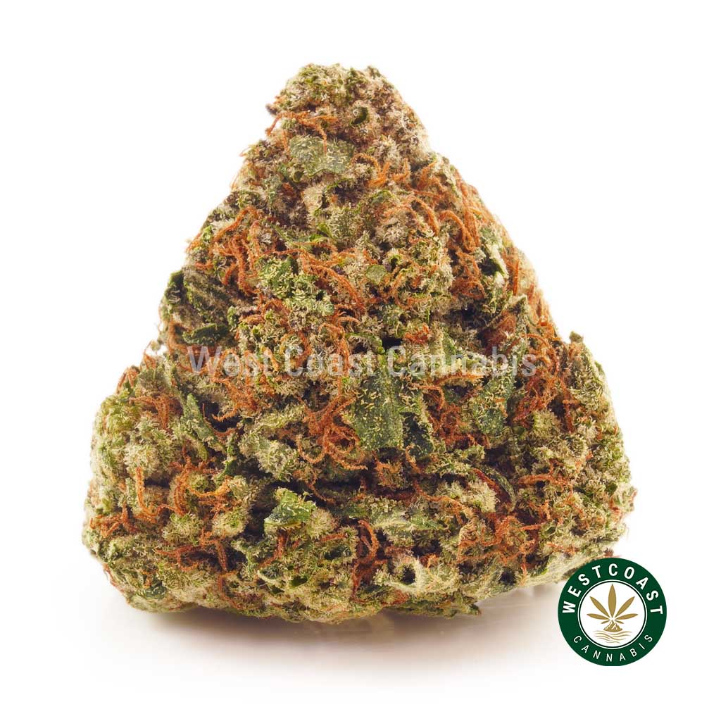 Buy Rockstar weed online Canada. mail order weed canada. edible gummies. weed dispensary vancouver.