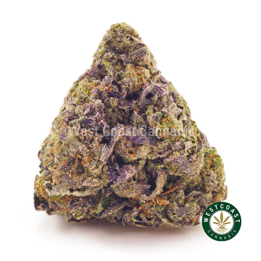 Buy weed online Canada. Blackberry Slurricane strain mail order marijuana. online dispensary in canada. cheap buds. order weed online.
