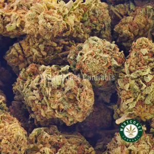 Buy weed Passion Fruit AA at wccannabis weed dispensary & online pot shop