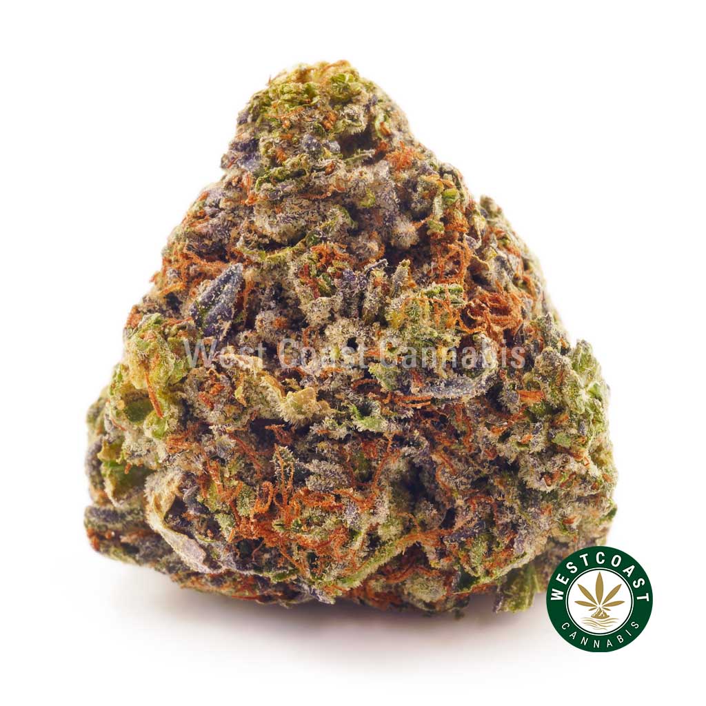 Buy Cannabis White Berry AAA at Wccannabis Online Shop