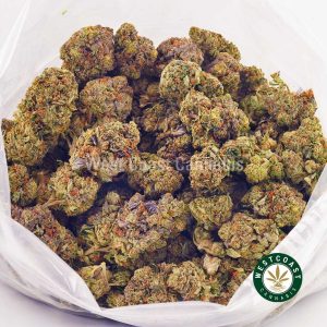 Buy Cannabis White Berry AA at Wccannabis Online Shop