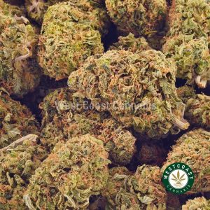 Buy weed Blue Lime AA at wccannabis weed dispensary & online pot shop