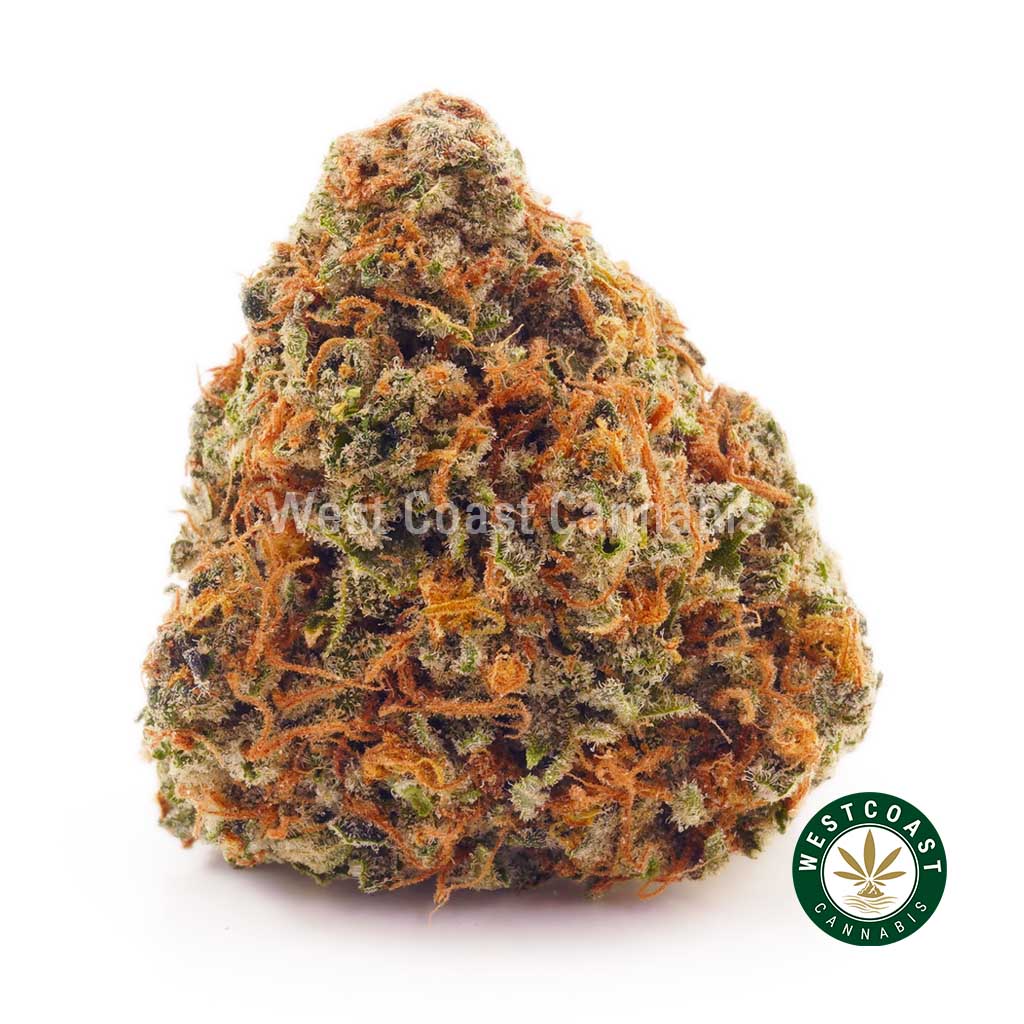 Buy weed Ghost OG AA at wccannabis weed dispensary & online pot shop