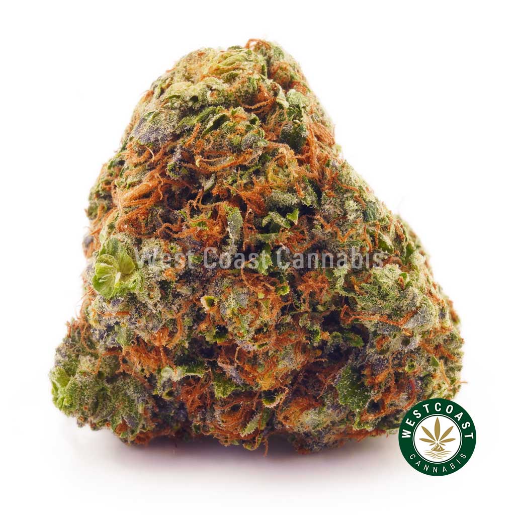 Buy weed Purple Rockstar AAA at wccannabis weed dispensary & online pot shop
