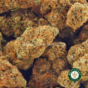 Buy weed Strawberries And Cream AA at wccannabis weed dispensary & online pot shop