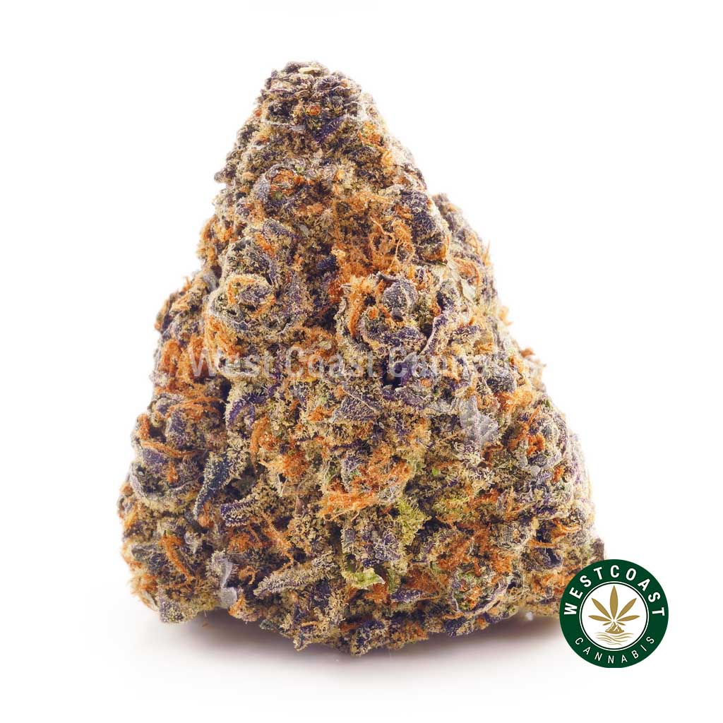 Buy weed Purple Trainwreck AAAA at wccannabis weed dispensary & online pot shop