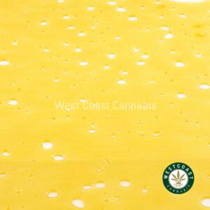 Buy Premium Shatter - Tom Ford (Indica) at Wccannabis Online Dispensary