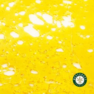 Buy Premium Shatter - Blueberry Kush (Indica) at Wccannabis Online Dispensary