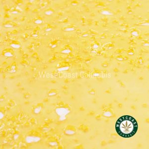 Buy Premium Shatter - Pineapple Express (Sativa) at Wccannabis Online Dispensary