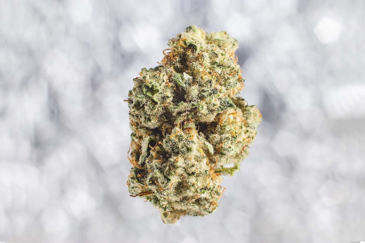 Buy weed Super Silver Haze strain budget buds at wccannabis. cannabis dispensary. mail order weed.