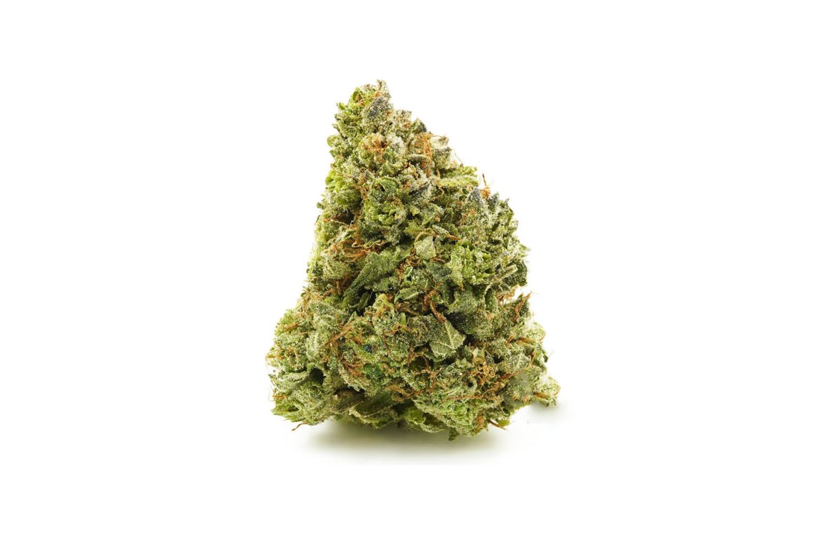 Gorilla Glue #4 weed online Canada at online weed dispensary for BC cannabis. Mail order marijuana cheap weed Canada.