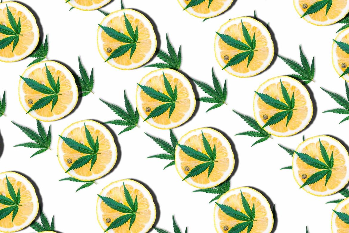 Cannabis leaves on fresh lemon slices. canada dispensary. weed shop online. cannabis online. Dispencary.