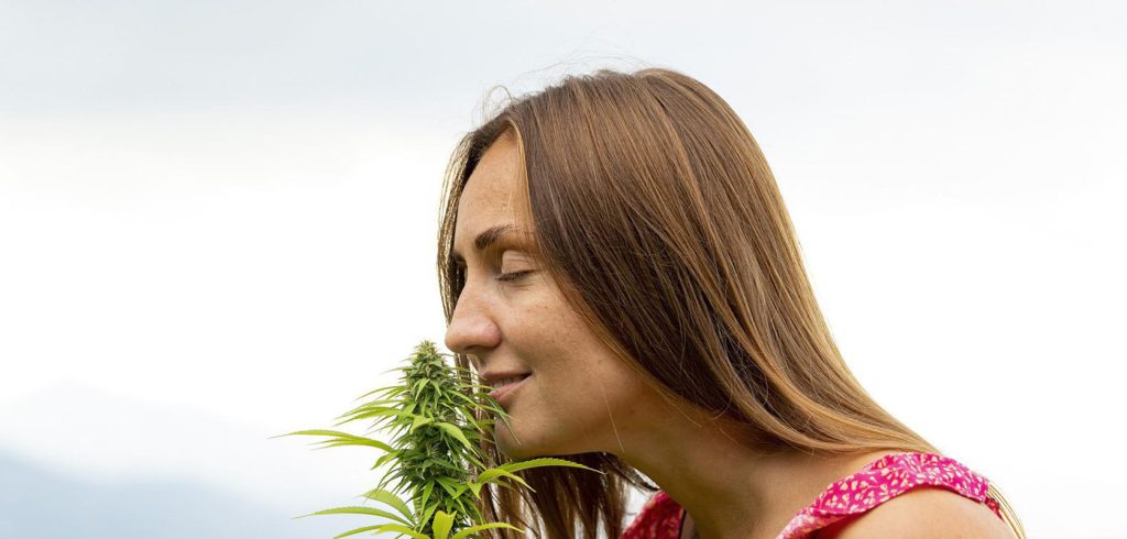 Woman smelling the cola of a cannabis plant for terpenes. weed online canada. online dispensary. cheap buds. low price buds. budget buds.