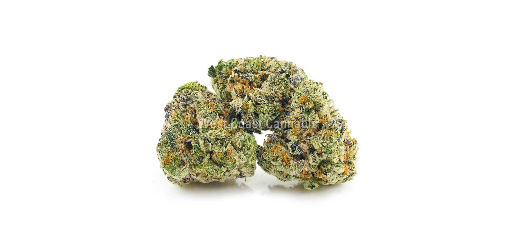 Black Tuna budget buds for sale online from cheapweed dispensary West Coast Cannabis. ganjaexpress. moon rock weed. cannabis dispensary. weed stores. buy weed online Canada.