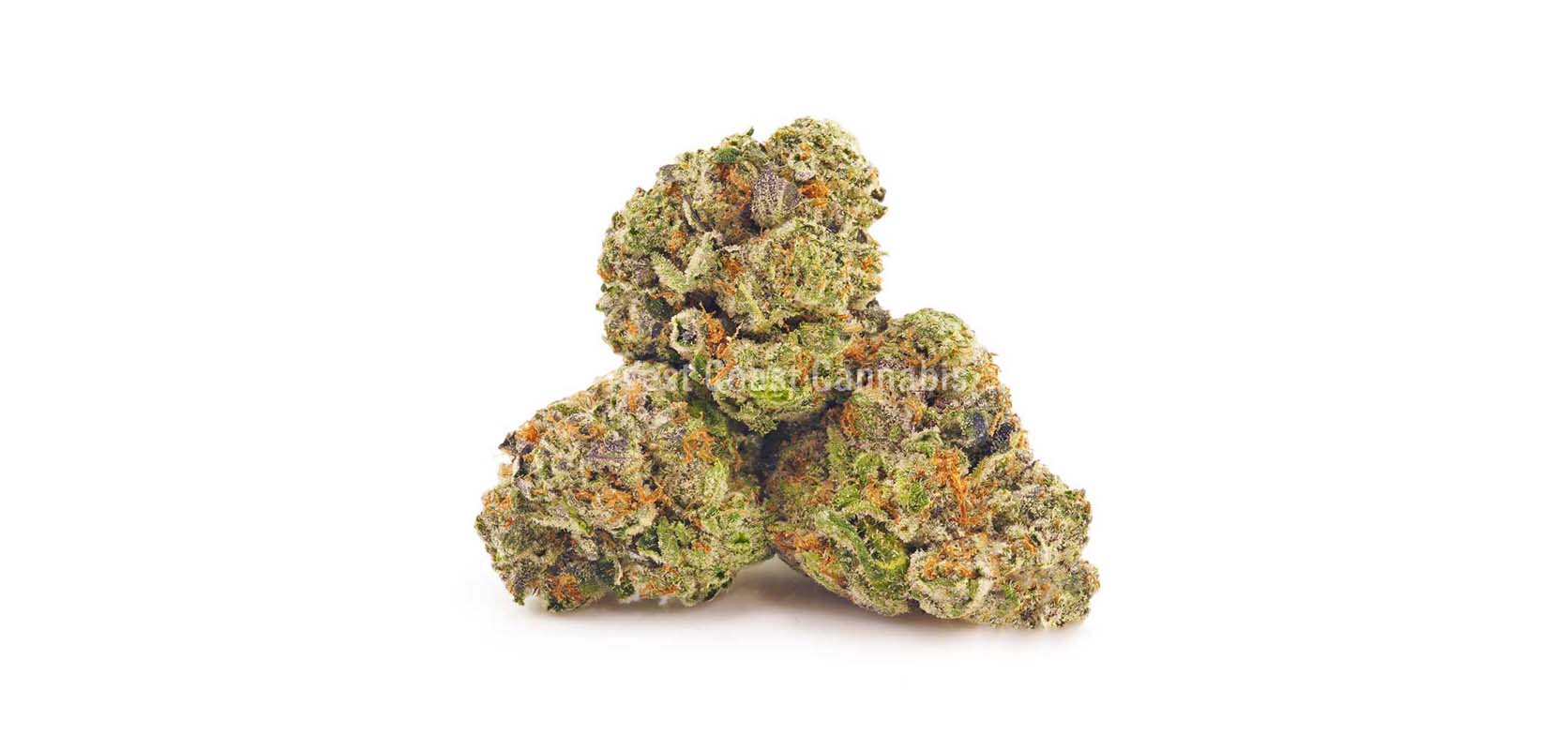 Ice Bomb weed budget buds at West Coast Cannabis online dispensary Canada for mail order marijuana & weed online Canada. Buy online weeds.