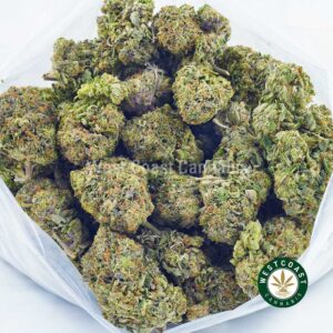 Buy weed Jungle Cake AAA at wccannabis weed dispensary & online pot shop