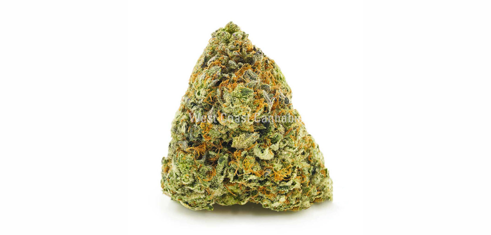 Buy weed online Canada Master Kush Ultra budget buds at dispensary for BC cannabis and cheapweed.
