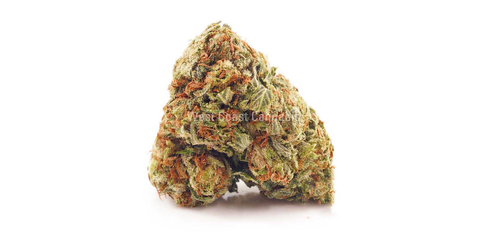 OG Kush weed online Canada at West Coast Cannabis online dispensary for BC bud online. weed shop. budmail. buy weed online canada. gummys and vape pens.