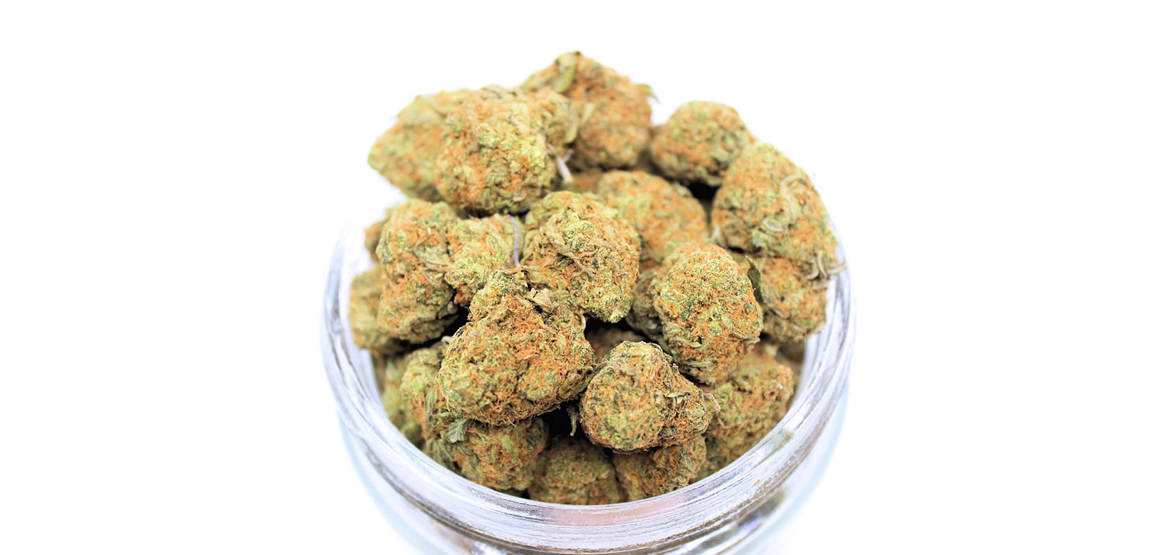 Orange Crush weed online Canada at wccannabis weed store and online dispensary Canada. Value buds and mail order marijuana Canada. buy weed online.