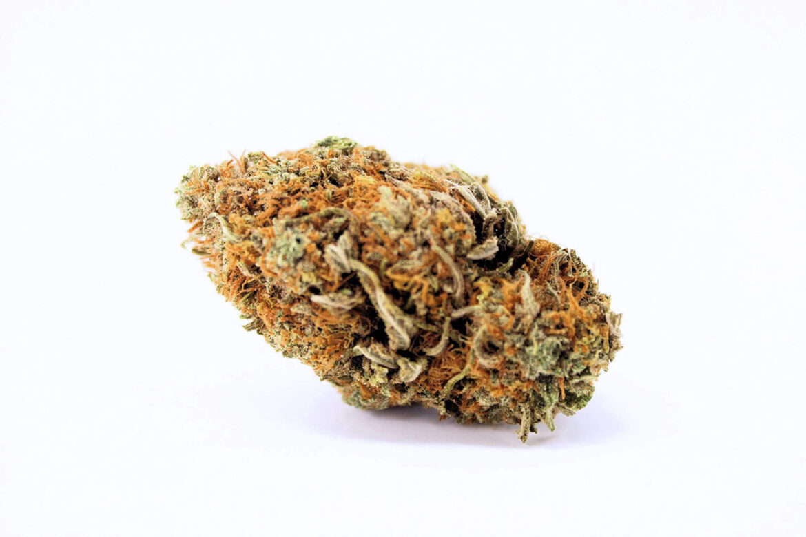 Orange crush strain value buds from cheapweed dispensary for BC cannabis. dispensary vancouver.