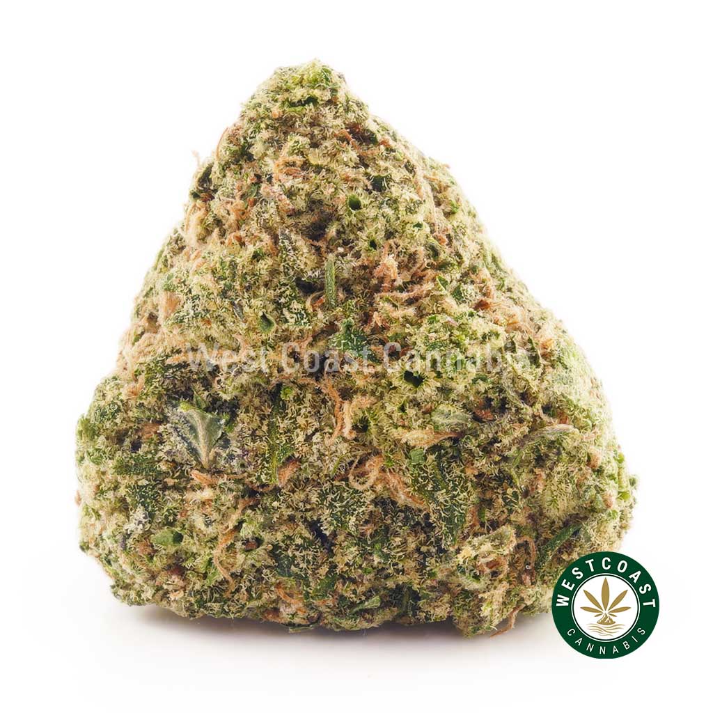 Buy weed Blue Dream AA at wccannabis weed dispensary & online pot shop