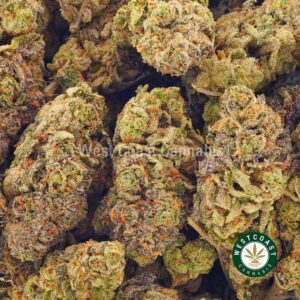 Buy weed Gouda Berry AAA at wccannabis weed dispensary & online pot shop