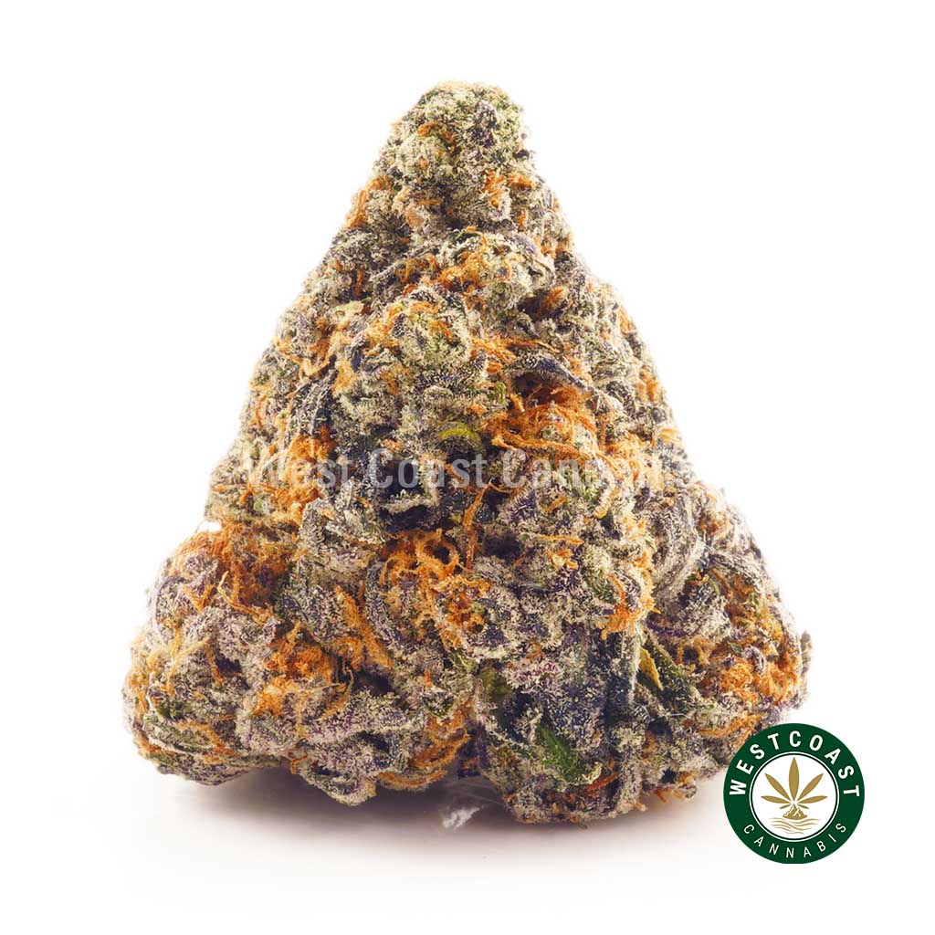 Grow Peanut Butter Breath pot feminized plant in the United States - safe