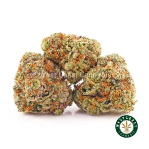 Buy weed Tropical Zkittlez AAAA (Popcorn Nugs) at wccannabis weed dispensary & online pot shop