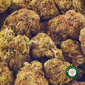 Buy weed King Bubba AA at wccannabis weed dispensary & online pot shop