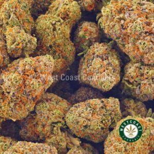 Buy weed Tropicana Cookies AAA at wccannabis weed dispensary & online pot shop