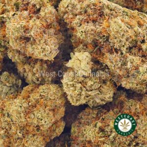 Buy weed Sophie's Breath AAAA at wccannabis weed dispensary & online pot shop