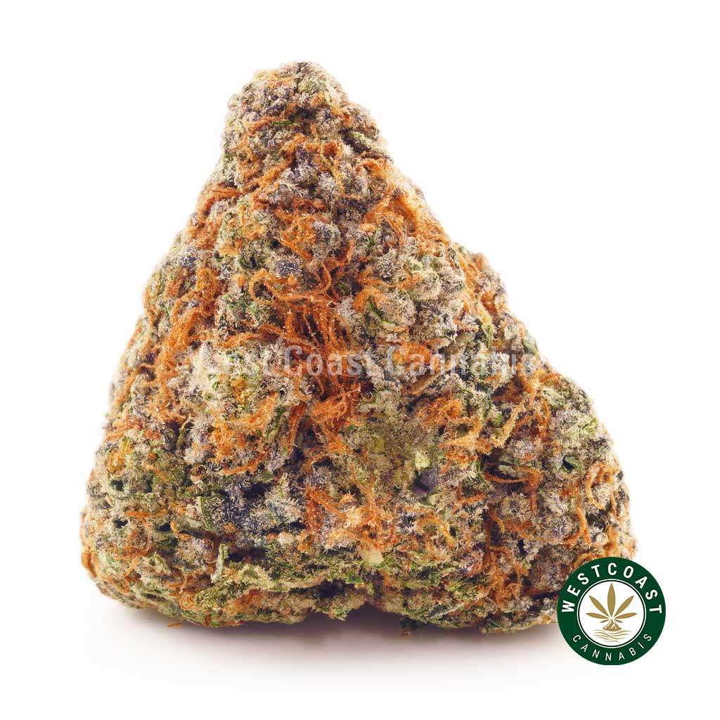Buy weed White Gushers AAAA at wccannabis weed dispensary & online pot shop