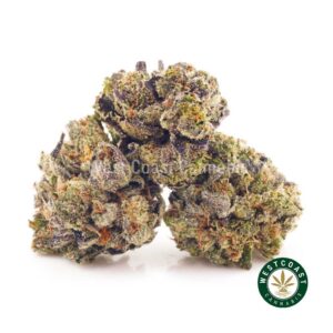 Buy weed Purple Thunder AAAA (Popcorn Nugs) at wccannabis weed dispensary & online pot shop