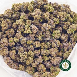 Buy weed Purple Thunder AAAA (Popcorn Nugs) at wccannabis weed dispensary & online pot shop