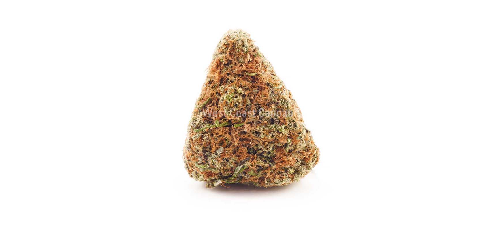 Buy Rainbow Kush weed online Canada at BC cannabis dispensary for budget buds and cheapweed. Buy online weeds. mail order marijuana.