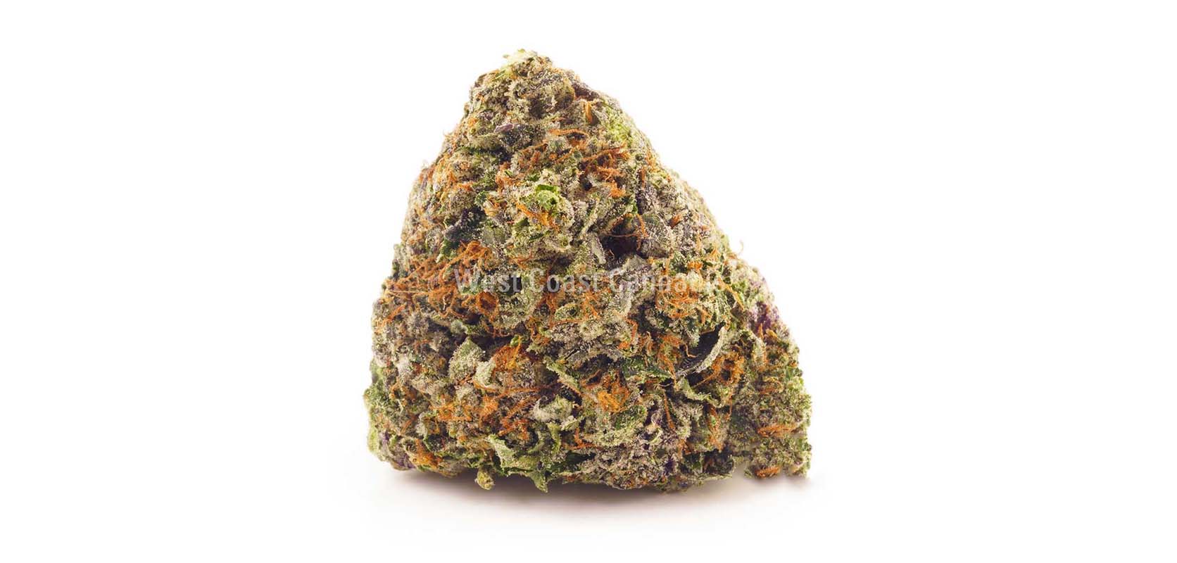 Watermelon Gelato budget buds for sale from cheapweed dispensary for BC cannabis and weed online Canada. buy online weeds. mail order marijuana. buy weed.