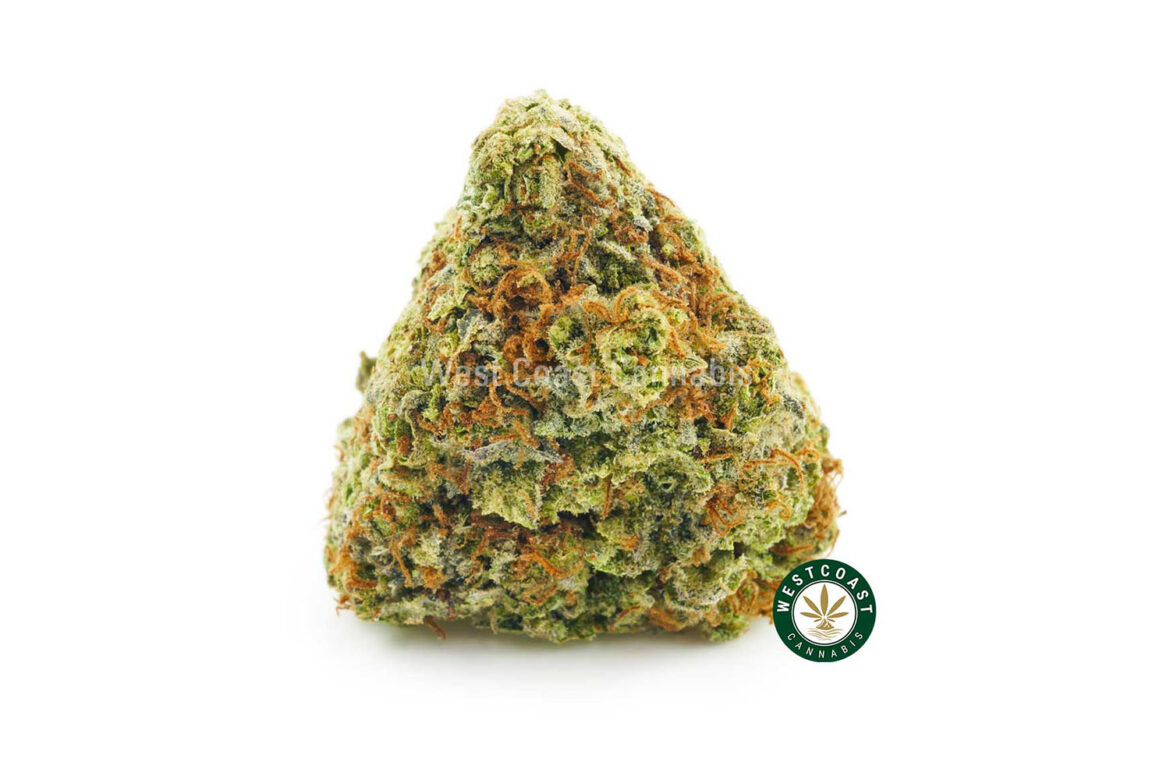 Buy Watermelon Kush weed online Canada from cheapweed dispensary for mail order weed online Canada. Watermelon Kush review.