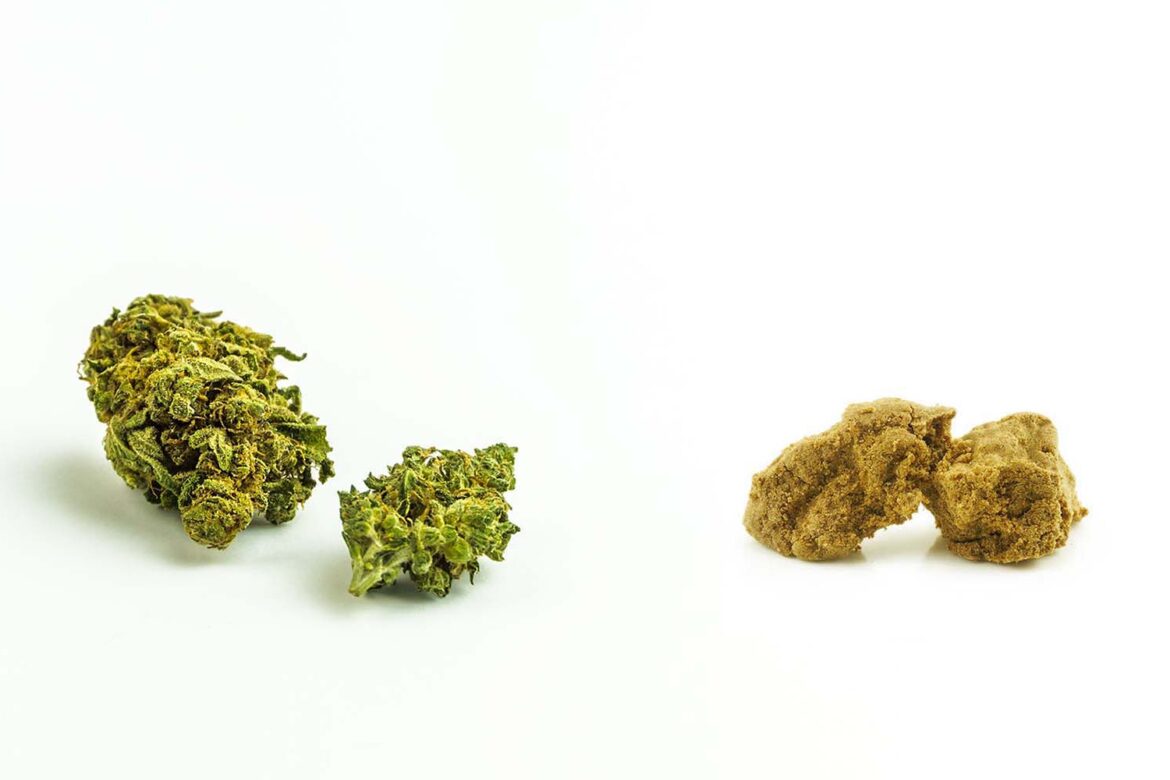 Budget buds and bc hash from west coast cannabis online dispensary Canada. buy hash online.
