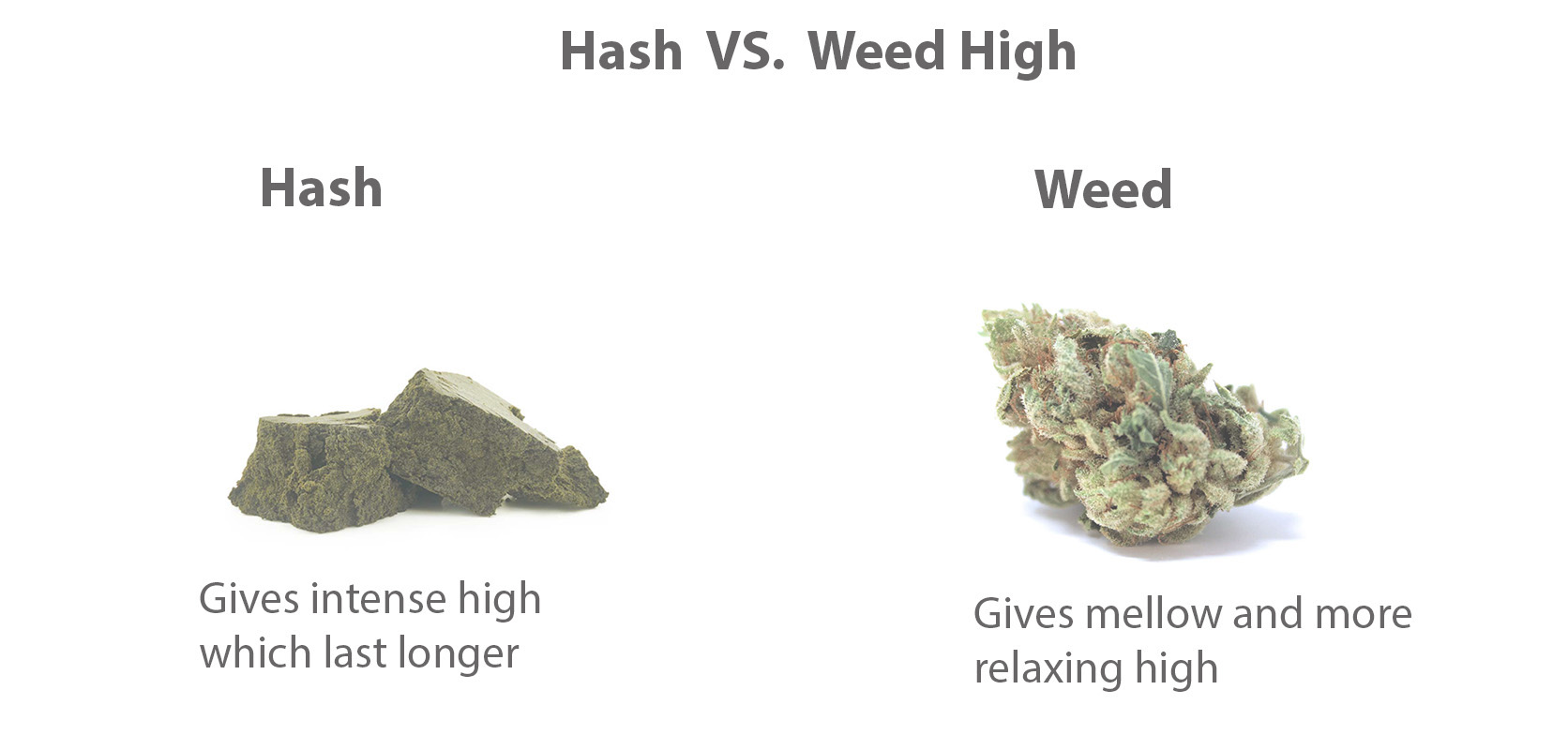 What Is The Difference Between Hash And Weed High? order weed online canada. online dispensary in canada. lindsay og strain.