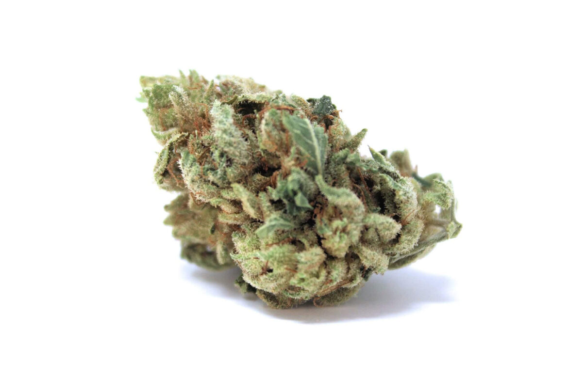Buy Violator Kush weed online Canada. Violator Kush strain review.