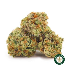 Buy weed Blueberry Cheesecake AA (Popcorn Nugs) at wccannabis weed dispensary & online pot shop