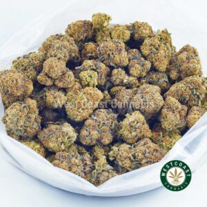 Buy weed Blueberry Runtz AAAA at wccannabis weed dispensary & online pot shop