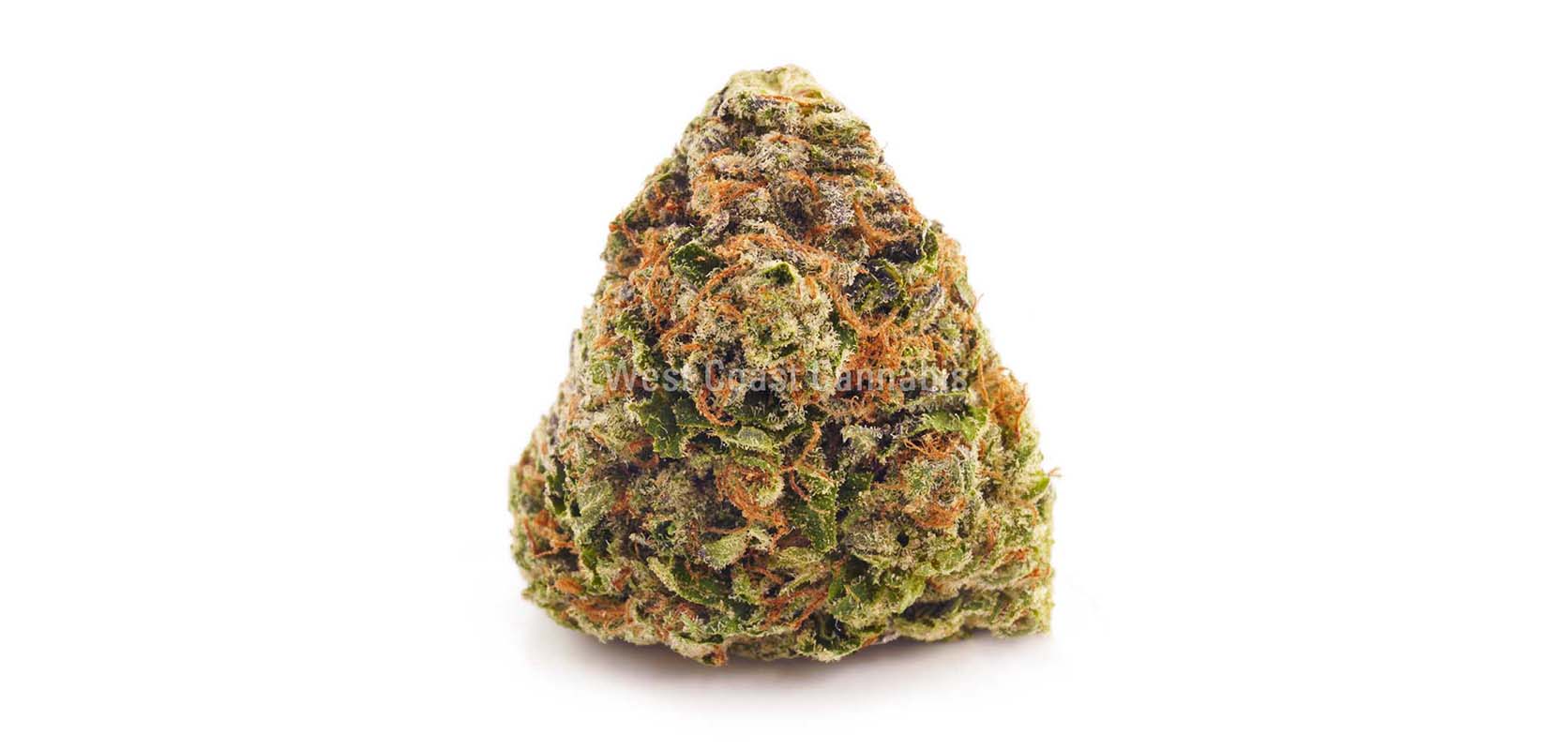 Death Star Weed online Canada. bc cannabis stores. weed vape. sativa strains. weed canada. Dispencary.