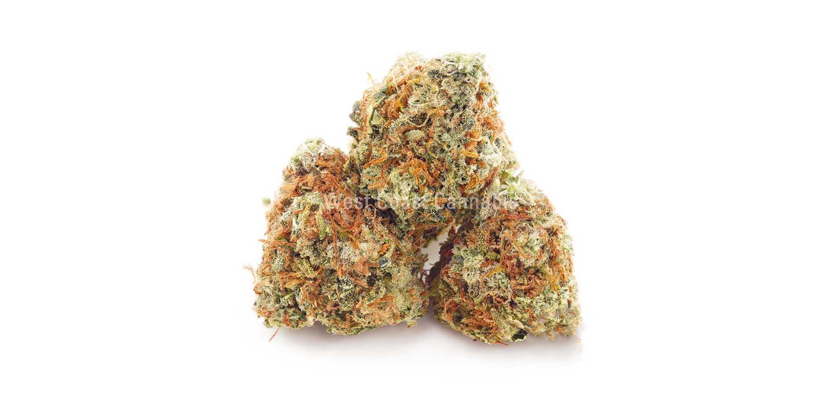 Frankenberry weed online Canada. Get weed deals online from mail order marijuana weed dispensary West Coast Cannabis.