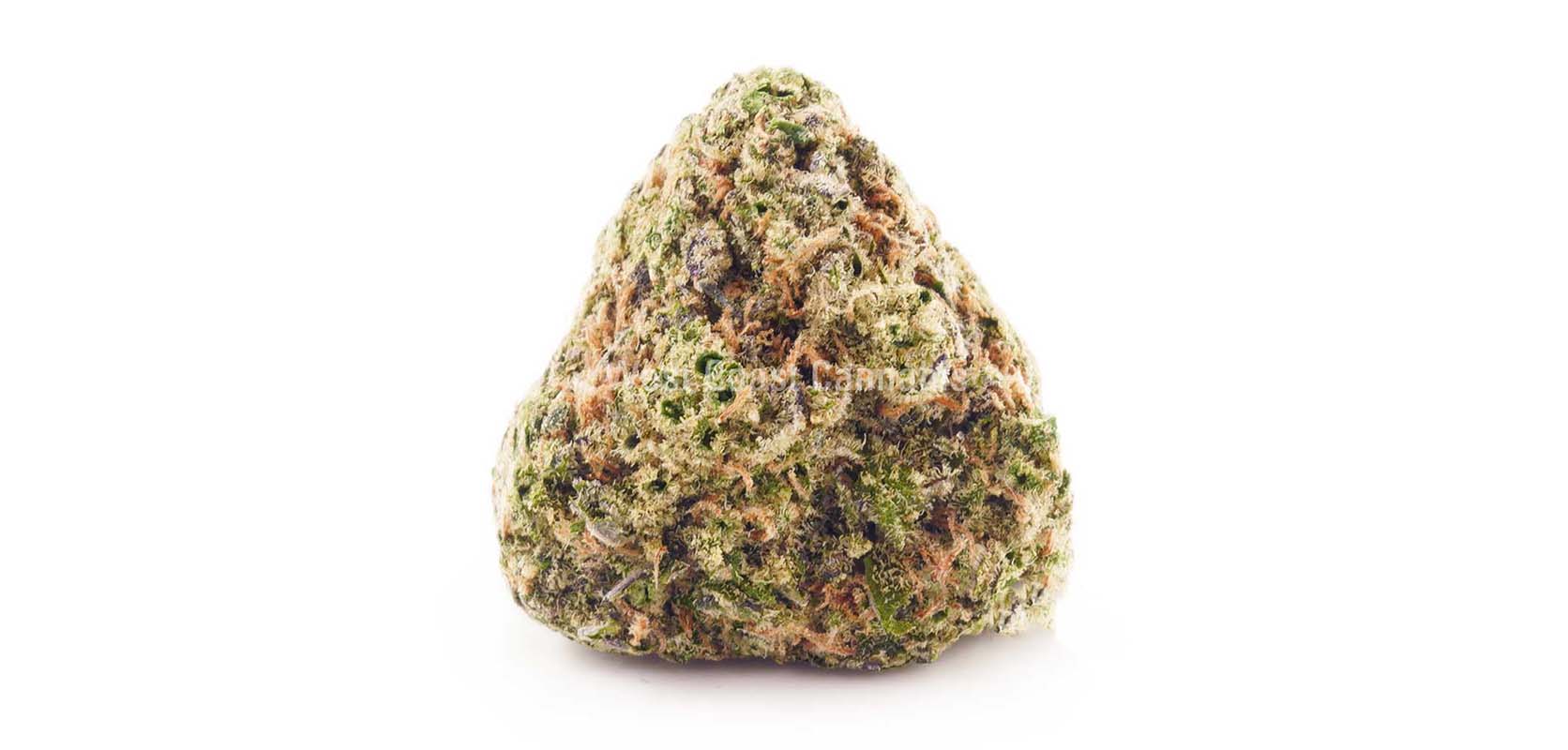 Island Sweet Skunk value buds for sale from online weed dispensary for mail order marijuana and weed online Canada.