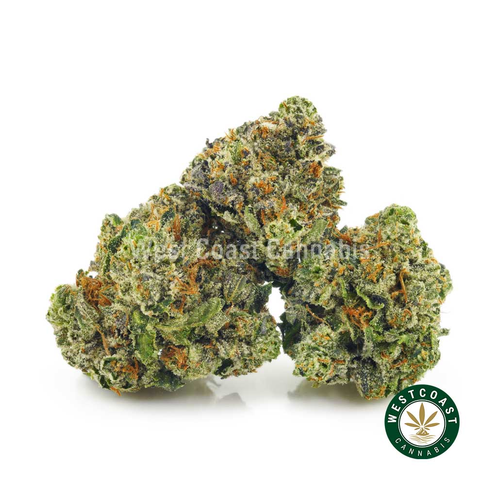 Buy weed Incredible Hulk AAAA (Popcorn Nugs) at wccannabis weed dispensary & online pot shop