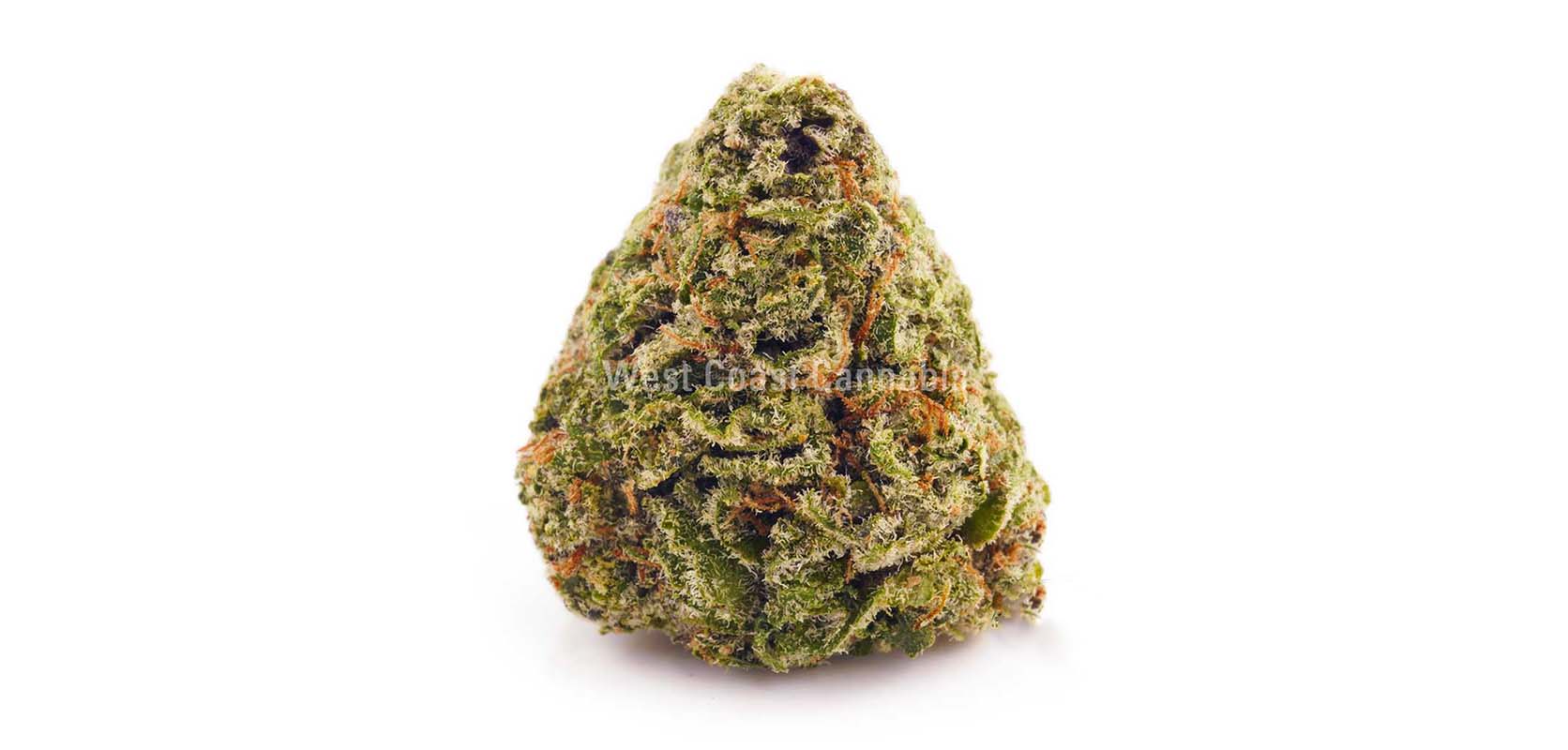 Lemon Kush value buds and weed online Canada. Mail order marijuana weed dispensary West Coast Cannabis. Buy online weeds. cheapweed.