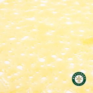 Buy Premium Shatter - Donkey Butter (Indica) at Wccannabis Online Dispensary