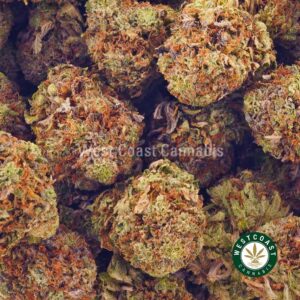 Buy weed Blueberry Haze AA at wccannabis weed dispensary & online pot shop