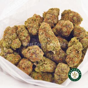 Buy weed Super Gelato AAAA at wccannabis weed dispensary & online pot shop